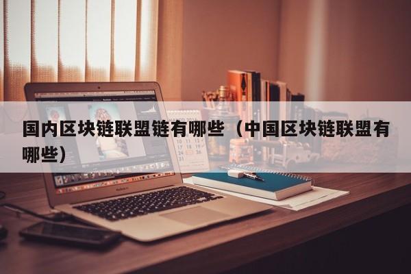国内区块链联盟链有哪些（中国区块链联盟有哪些）