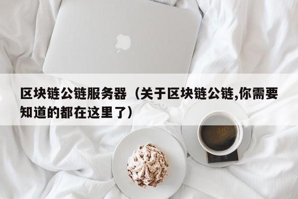 区块链公链服务器（关于区块链公链,你需要知道的都在这里了）