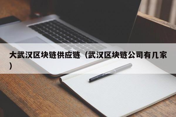 大武汉区块链供应链（武汉区块链公司有几家）