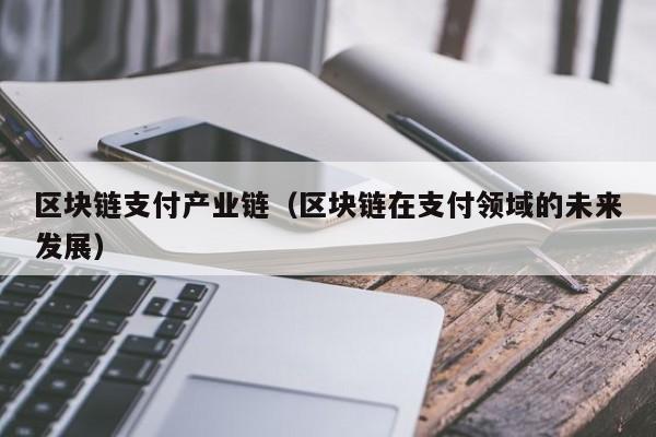 区块链支付产业链（区块链在支付领域的未来发展）