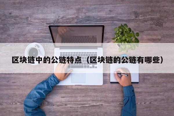 区块链中的公链特点（区块链的公链有哪些）