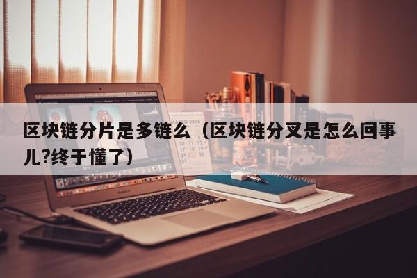 区块链分片是多链么（区块链分叉是怎么回事儿?终于懂了）