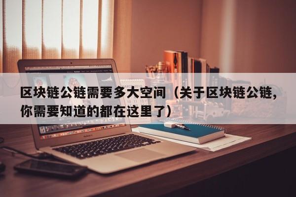 区块链公链需要多大空间（关于区块链公链,你需要知道的都在这里了）