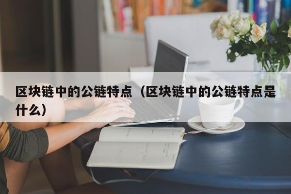 区块链中的公链特点（区块链中的公链特点是什么）