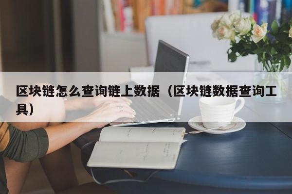 区块链怎么查询链上数据（区块链数据查询工具）