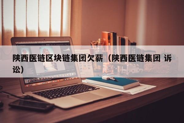 陕西医链区块链集团欠薪（陕西医链集团 诉讼）