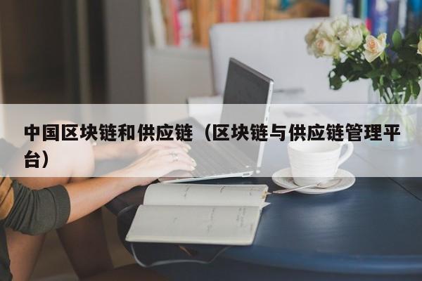 中国区块链和供应链（区块链与供应链管理平台）