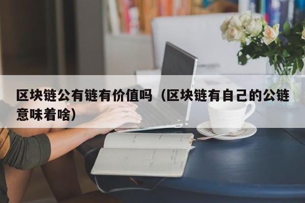 区块链公有链有价值吗（区块链有自己的公链意味着啥）