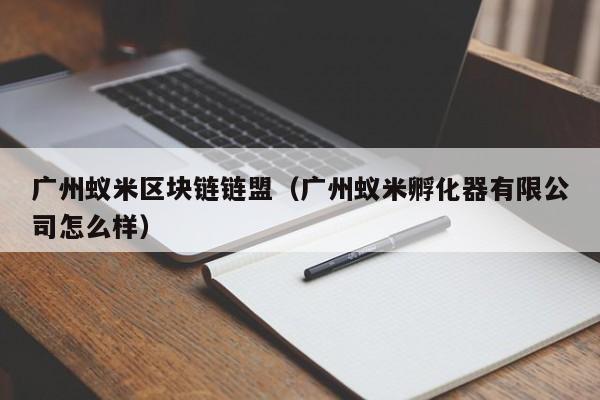 广州蚁米区块链链盟（广州蚁米孵化器有限公司怎么样）