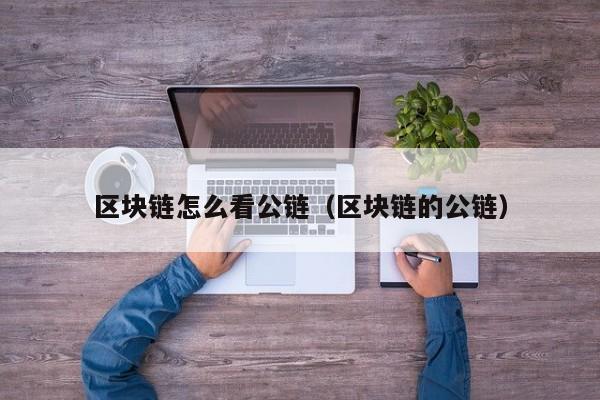 区块链怎么看公链（区块链的公链）