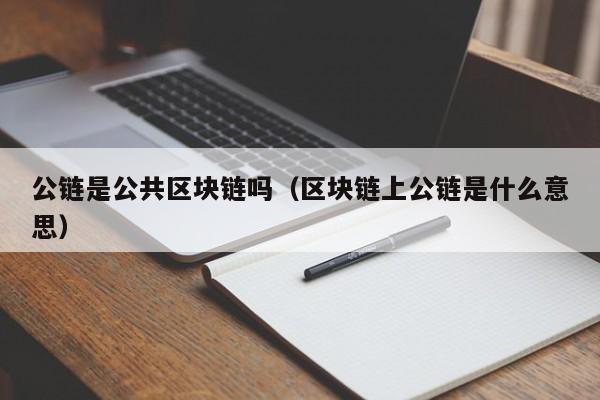 公链是公共区块链吗（区块链上公链是什么意思）