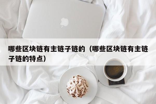 哪些区块链有主链子链的（哪些区块链有主链子链的特点）