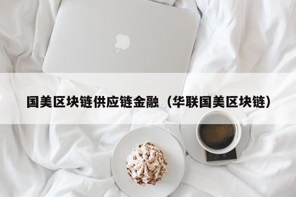 国美区块链供应链金融（华联国美区块链）