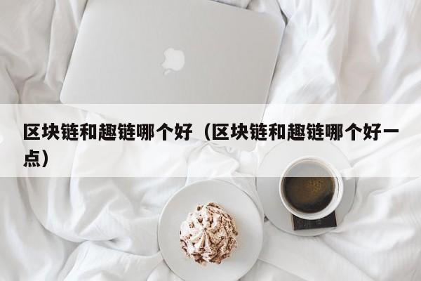 区块链和趣链哪个好（区块链和趣链哪个好一点）