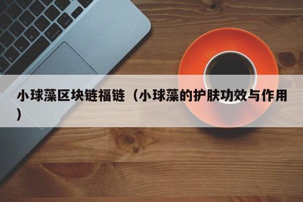 小球藻区块链福链（小球藻的护肤功效与作用）