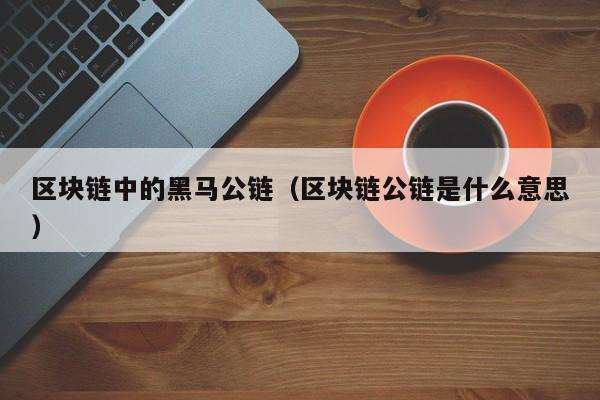 区块链中的黑马公链（区块链公链是什么意思）