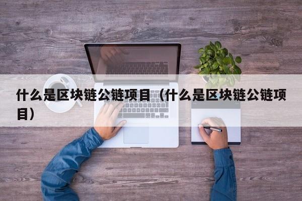 什么是区块链公链项目（什么是区块链公链项目）