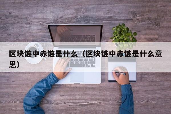区块链中赤链是什么（区块链中赤链是什么意思）