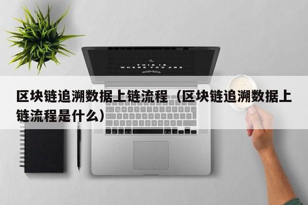 区块链追溯数据上链流程（区块链追溯数据上链流程是什么）