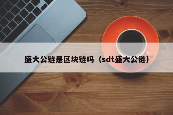 盛大公链是区块链吗（sdt盛大公链）
