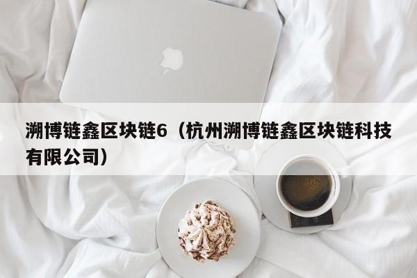 溯博链鑫区块链6（杭州溯博链鑫区块链科技有限公司）
