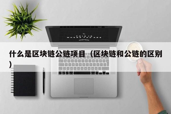 什么是区块链公链项目（区块链和公链的区别）
