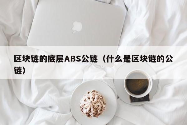 区块链的底层ABS公链（什么是区块链的公链）